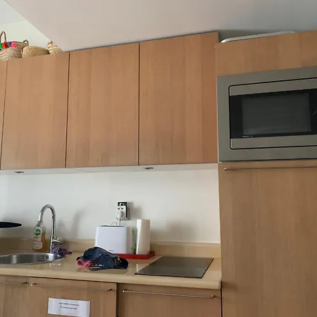 Confort A Paris, 8eme, Galerie Lafayette, Louvre, Champs Elysee * פריז