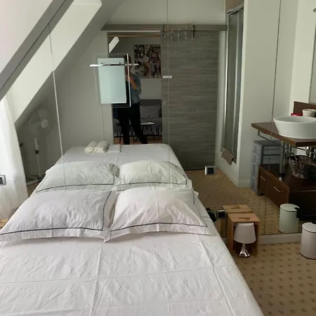 Confort A Paris, 8eme, Galerie Lafayette, Louvre, Champs Elysee פריז