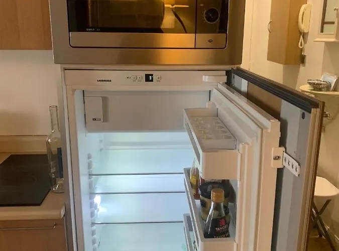 Confort à Paris, 8ème, Galerie Lafayette, Louvre, Champs Elysée *