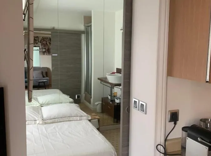 Confort à Paris, 8ème, Galerie Lafayette, Louvre, Champs Elysée