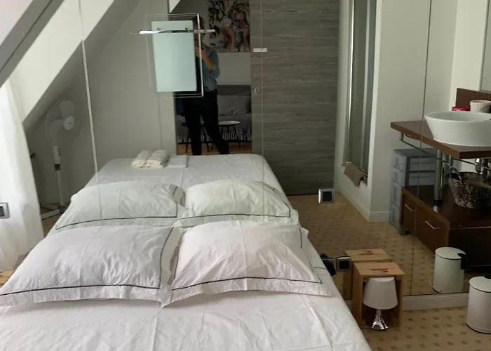 Confort A Paris, 8eme, Galerie Lafayette, Louvre, Champs Elysee פריז